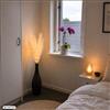 Pampas grene med LED 5stk.
