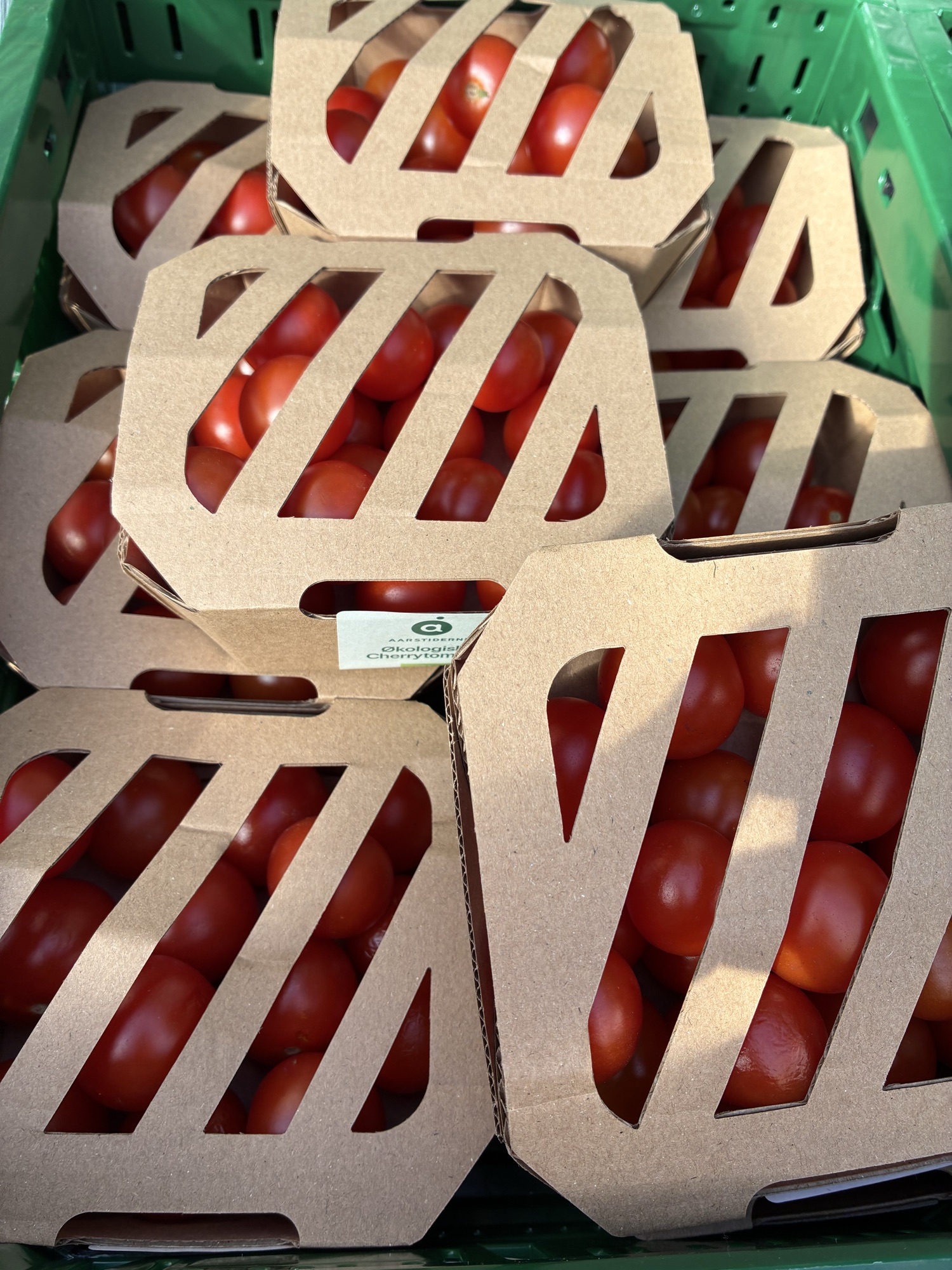 Aarstiderne cherrytomater