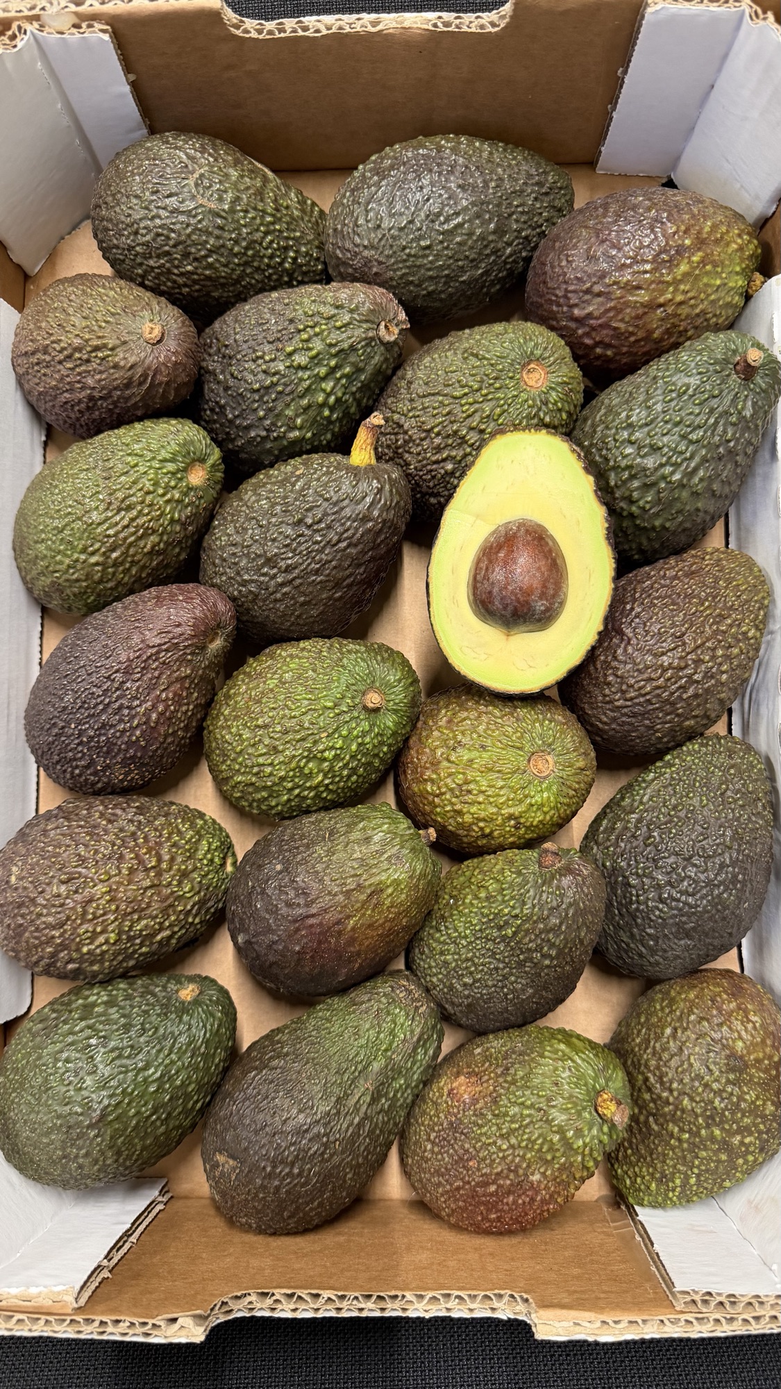Kasse avocado 22stk.