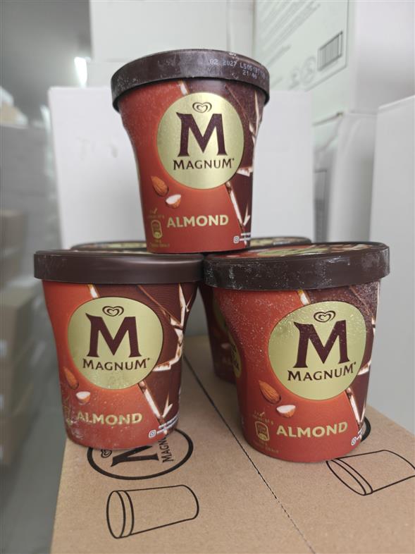 Magnum almond