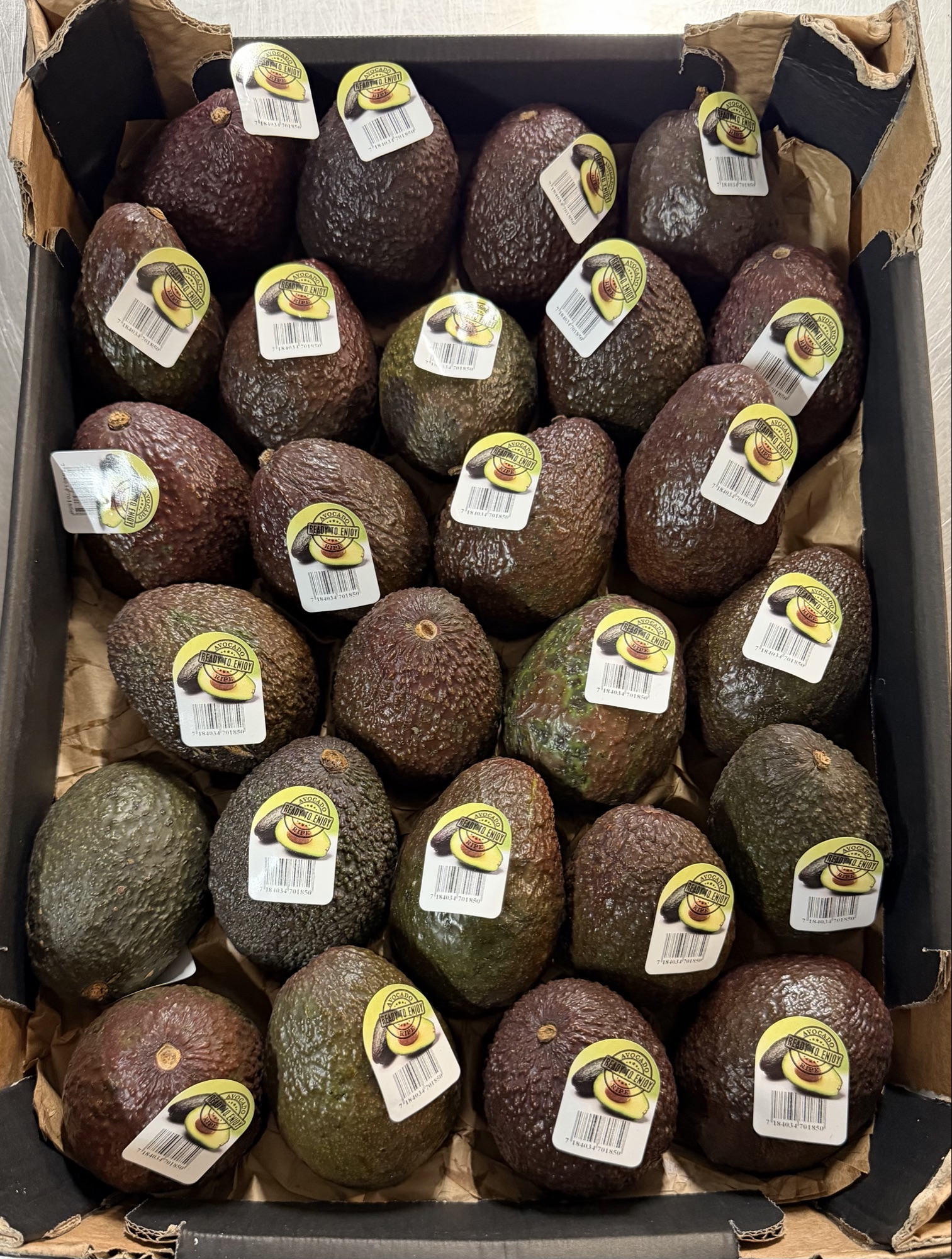 Avocado 26 stk