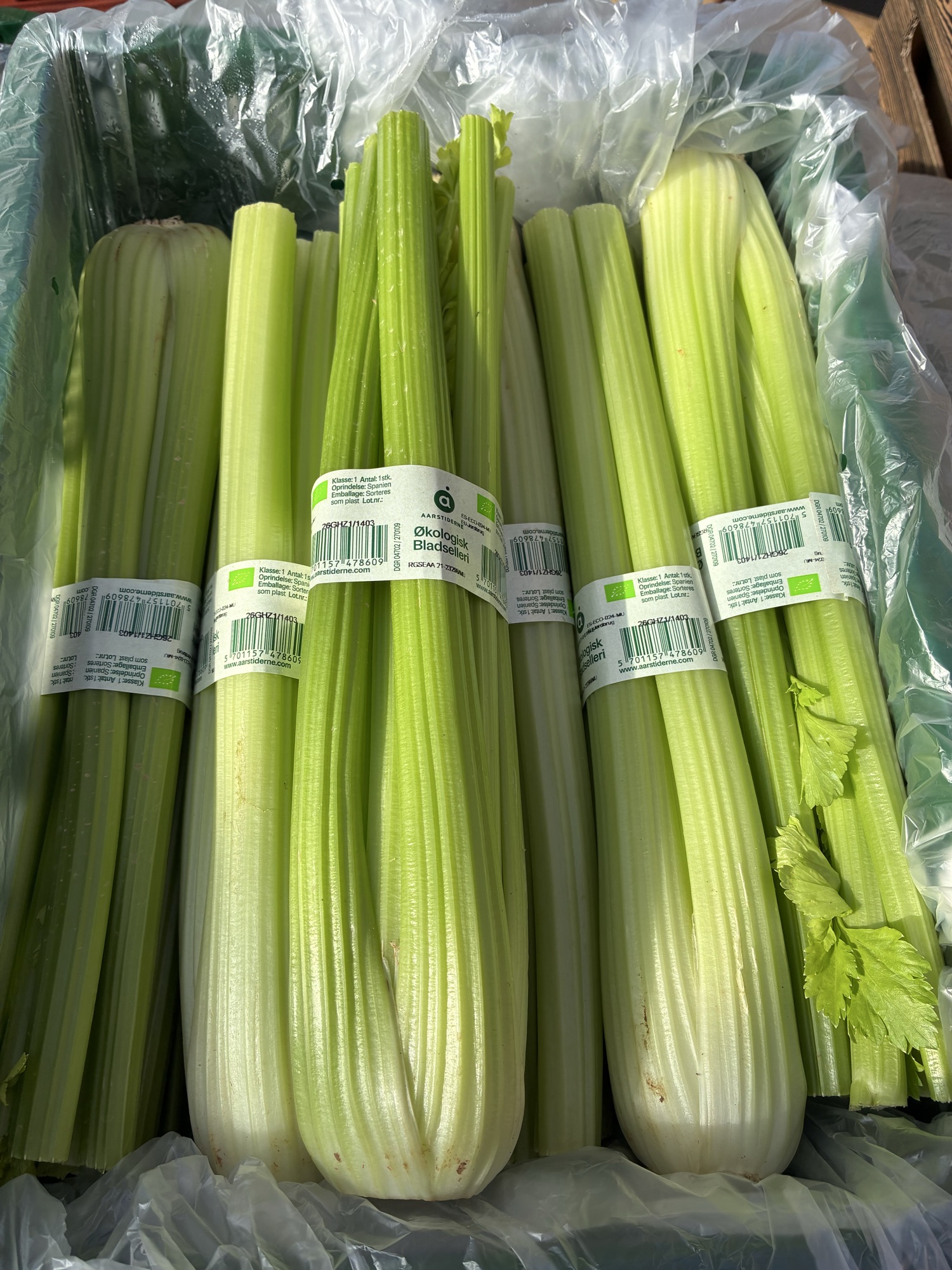 Aarstiderne bladselleri