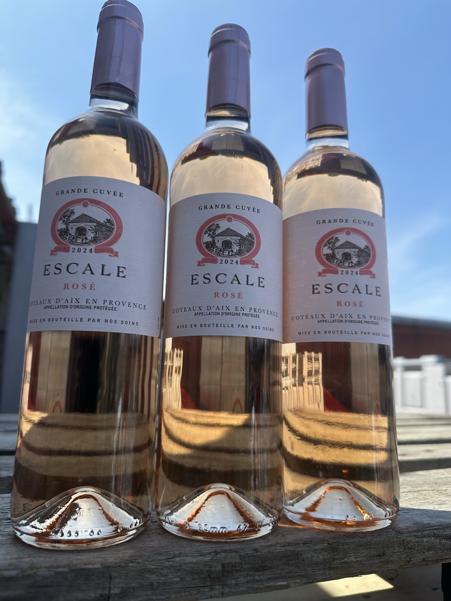 Provence Rose
