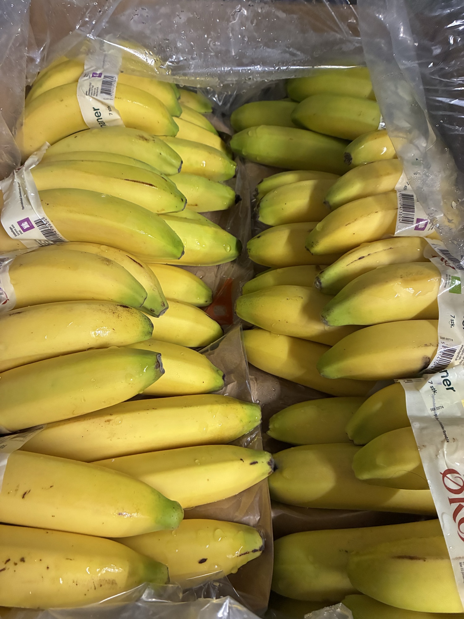 Øko bananer