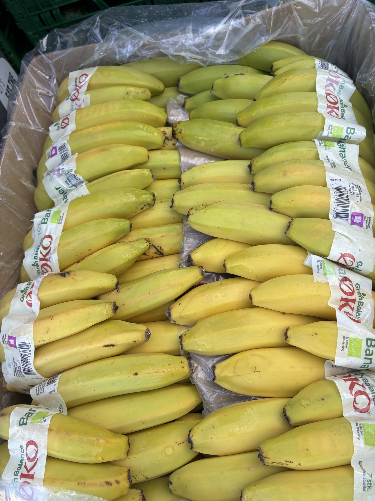 Øko bananer