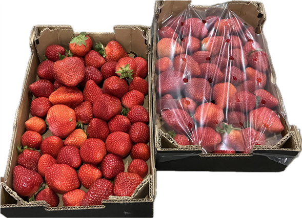 Jordbær 1 kg🔴afhentning fra kl 10