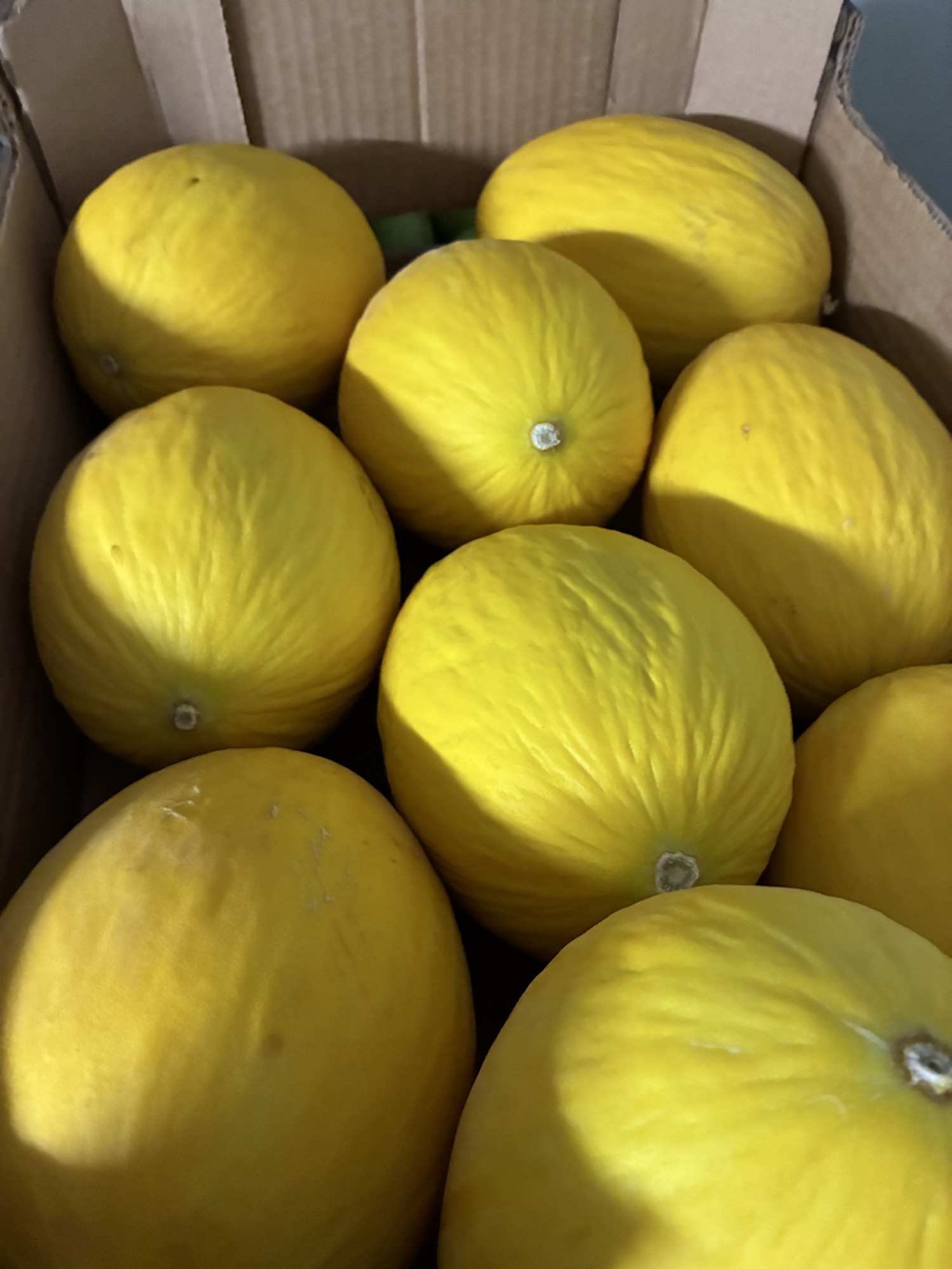 Honning melon